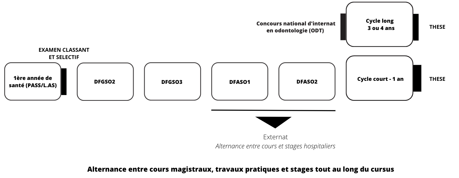 Cycles odonto